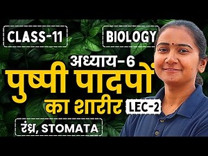 L-2, रंध्र, Stomata, अध्याय-6, पुष्पी पादपों का शारीर | Class-11th Biology | कक्षा-11 जीवविज्ञान