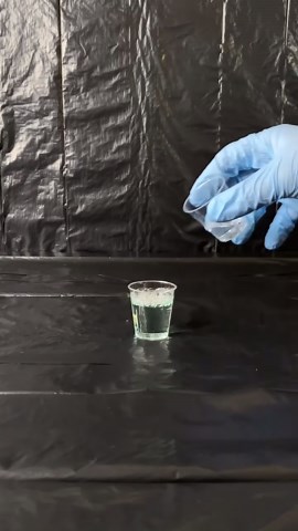 Insane Elephant’s Toothpaste Experiment