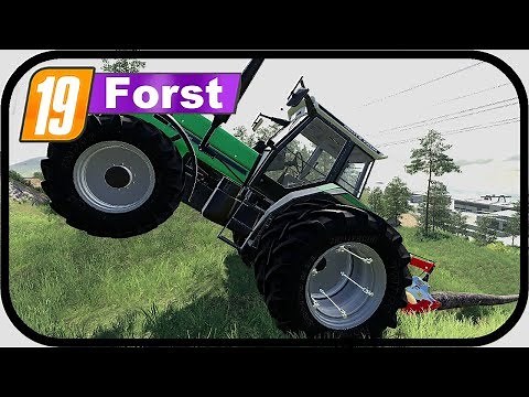 LS19 FORST #3 - GÜNTHER auf dem KRAN; immer die Mitte knicken | Landwirtschafts Simulator 19