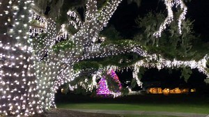 Celebrate the arrival of 2020 with half a million lights, illuminated for you and yours through January 5th. | Jekyll Island