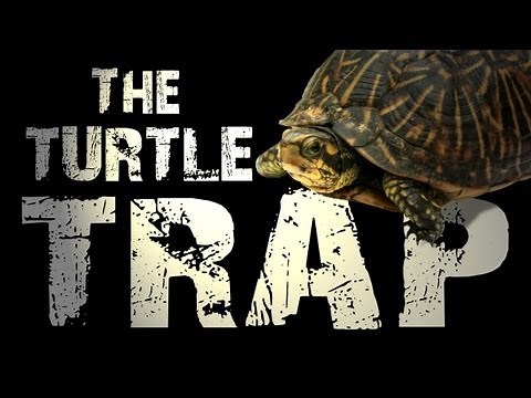 How to: Turtle Trap