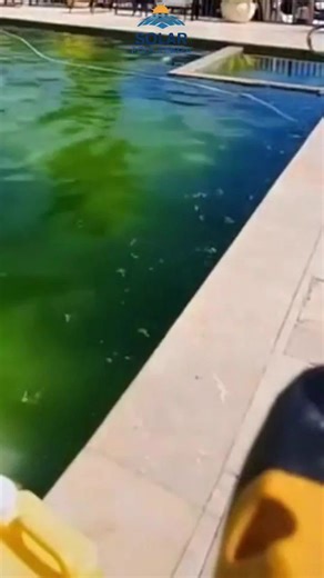 Solar Pool Ionier on TikTok