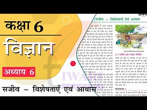 NCERT Solutions for Class 6 Science Chapter 6 in Hindi Medium