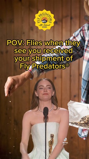 Flies have finally met their match! ​ With just one bag of Fly Predators®, you can bid farewell to 70,000 flies. ​ ​See why Fly Predators boast over 20,000 5-star reviews for keeping horses comfortable here: https://bit.ly/4aQPinx | Spalding Labs