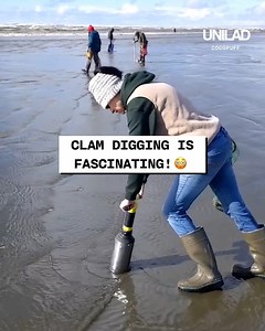 20M views · 6.9K reactions | It takes a certain strength and skill to dig for clams  | UNILAD | Facebook
