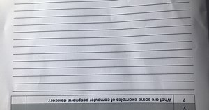 What are some examples of computer peripheral devices?... | Filo