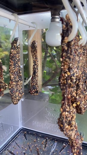 Homemade Venison Biltong: A Step-by-Step Guide