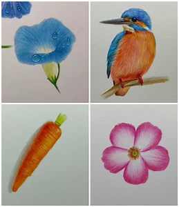 12K views · 73 reactions | Learn to Draw with Color Pencil | Learning Center | Facebook