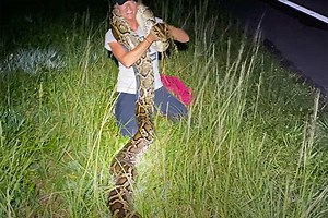 Meet Python Huntress Amy Siewe: Part Conservationist, Part Bounty Hunter