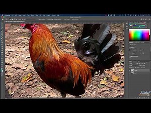 How to use Adobe Photoshop to edit images | For beginners (part 2)