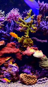 772K views · 2.9K reactions | Video Wallpapers HD make your display with wonderful video wallpapers. | Video Wallpapers HD | Facebook