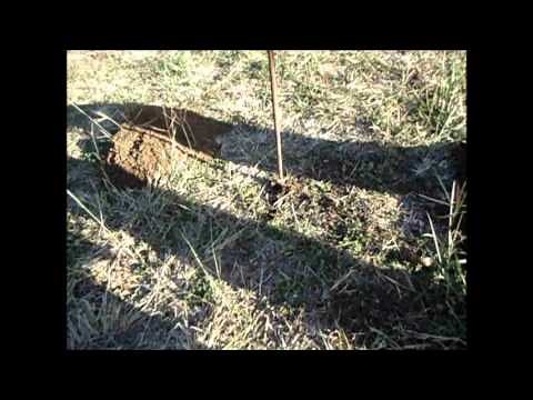 How To Locate Gopher Tunnels