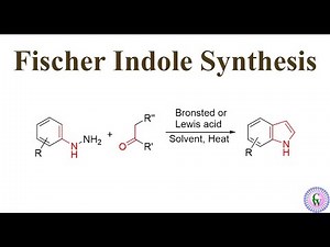 Fischer Indole Synthesis