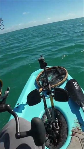 It's a Pure Adrenaline Rush When These Things Hit!