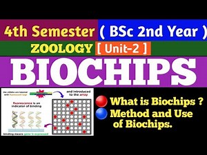 BSc 4t Semester Zoology/Biochips/DNA Chips/DNA Microarray/Biochips in Hindi/Method & Use of Biochips