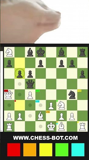 The Secret Chess Assistant Revealed 🤫