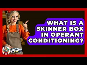 What Is A Skinner Box In Operant Conditioning? - Childhood Education Zone