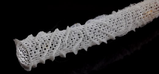Design of Lattice Structures in Additive Manufacturing: A Beginner’s Guide for Design Engineers