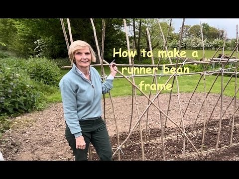 How to make a runner bean frame - a step by step guide.