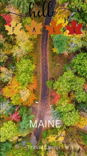 Maine Fall Foliage. Fall foliage places, Autumn foliage, Fall in Maine, Autumn in Maine.