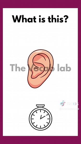 The Vocab Lab on TikTok