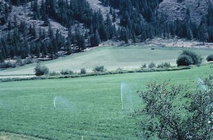 Rust & Iron Removal from a Sprinkler System