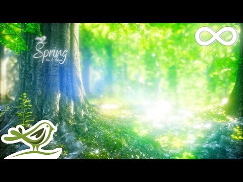 Spring • Beautiful Relaxing Music with a Flute, Cello, Guitar & Piano