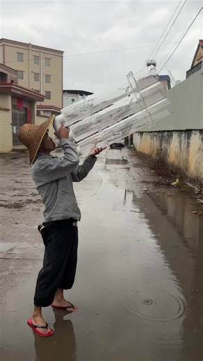 Exploring British and French Celebrity Cultures