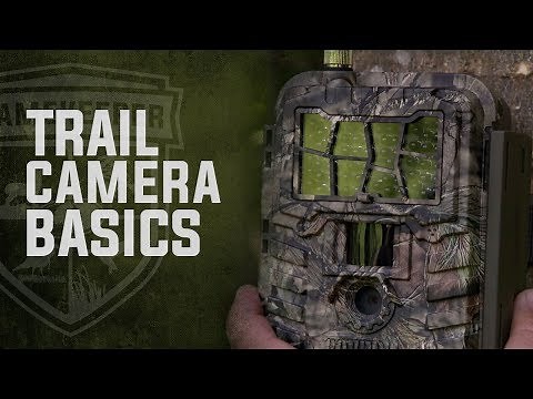 Using A Trail Camera Basics