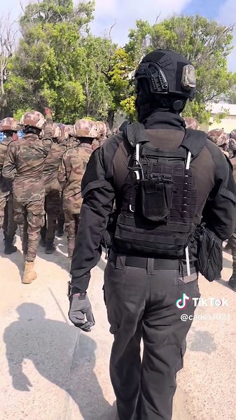 Exploring the Somali Police Forces: RRT and Haramcad