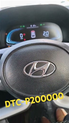 p200000 | DPF+ LNT REGENERATION & VALUE RESET