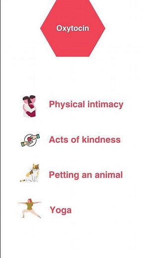 The 4 Types of Happy Hormones (and how to boost them)