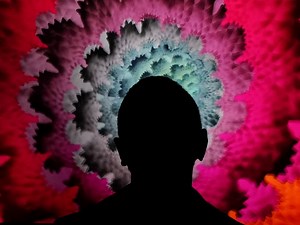 Have digital collectibles already seen the peak?