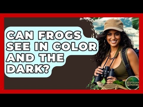 Can Frogs See In Color And The Dark? - Reptilian Wonders