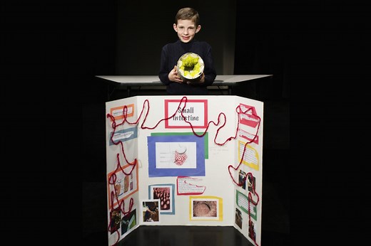 Top 8 Biology Science Fair Projects