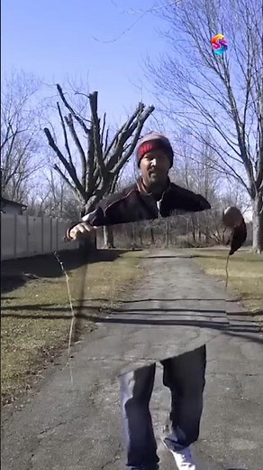 Thermal Invisibility Cloak Explained