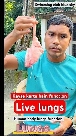 Human body lungs function step by step| breathing technique # inhale and exhale technique lungs live