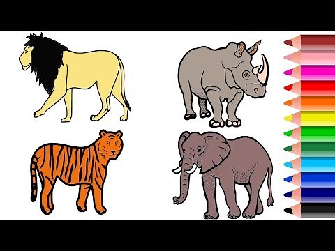 Wild Animal Coloring Pages || Names and Colors || Drawing and Coloring Animals