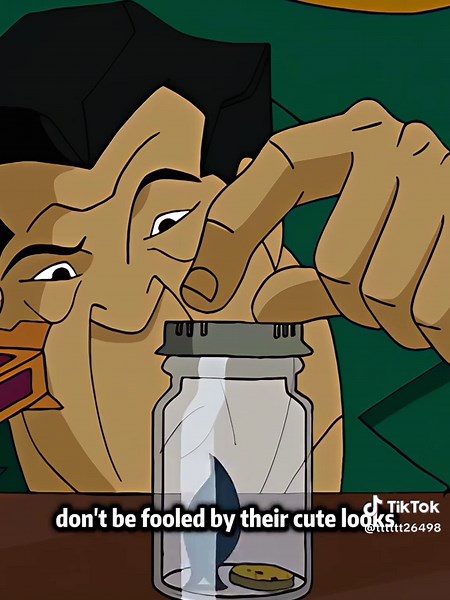 Uncle Fu's Mask Transformation in Jackie Chan Adventures