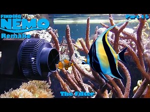 Finding Nemo: The Live Action Remake (Part 15/Fixed)