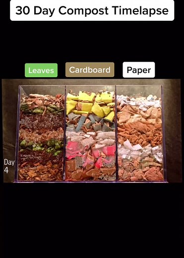 Fascinating 30-Day Composting Time-Lapse: Cardboard, Leaves, Paper