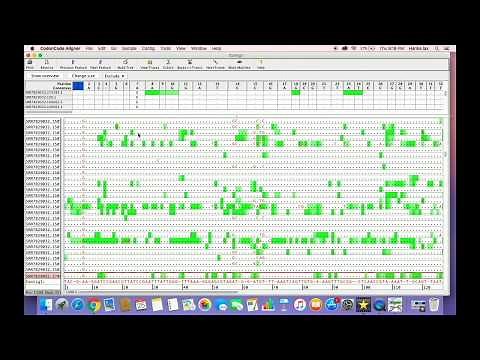 How to work with CodonCode aligner for genome sequence assembly
