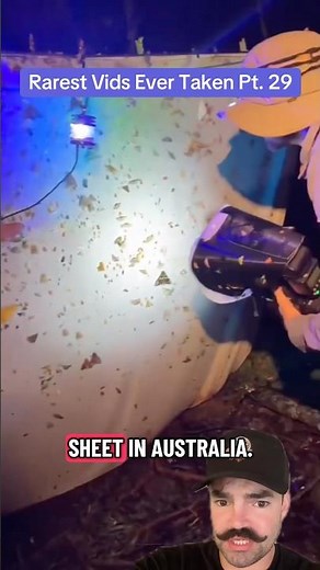 This UV light reveals a hidden world… #rare