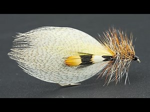 100 Year Old Fly – Could be the World’s MOST Useful!