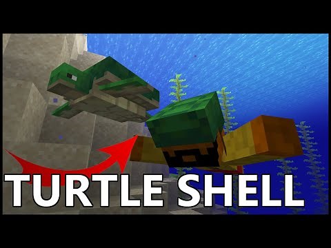 How To Get TURTLE SHELLS In Minecraft