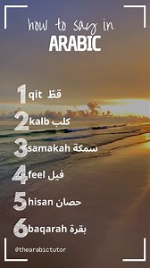 13K views · 425 reactions | How many correct answers did you get? Follow Us to learn More  #learn_arabic_online #arabicforbeginners | the Arabic tutor | Facebook