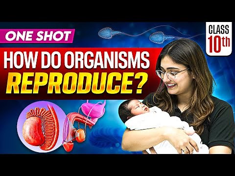 How do Organisms Reproduce? | Full Chapter in ONE SHOT | CBSE Class 10 Science | NCERT | 2025-26