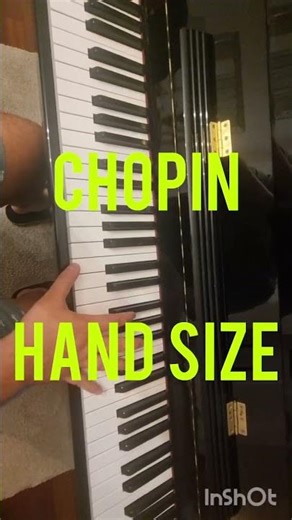 Hand size comparison (Version 2.0) #piano #classicalmusic