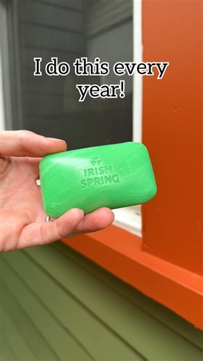 🧼 Rub strong scented soap like Irish Spring on window sill to deter bugs and rodents. #pestcontrol #soap #bugs | Jeff & Lauren