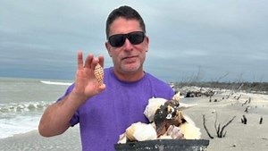 After years of searching, Fort Myers man finally finds rare shell on Sanibel Island